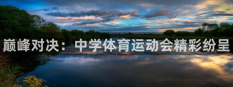 3377体育官网下载
