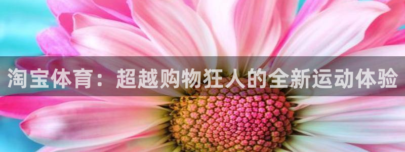 3377体育官网：淘宝体育：超越购物狂人的全新运动体验