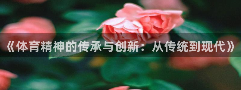 3377体育是正规平台吗：《体育精神的传承与创新：从传统到现代》