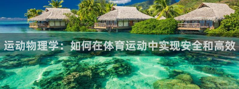3377体育全网：运动物理学：如何在体育运动中实现安全和高效