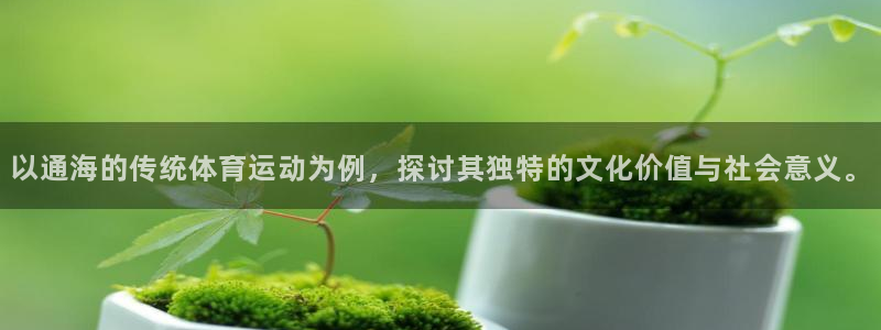 3377体育官网