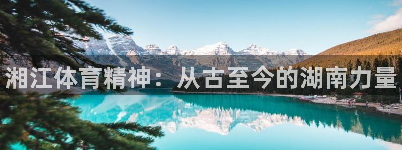 3377体育官方app下载