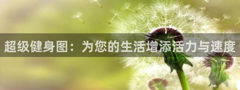 3377体育官网下载
