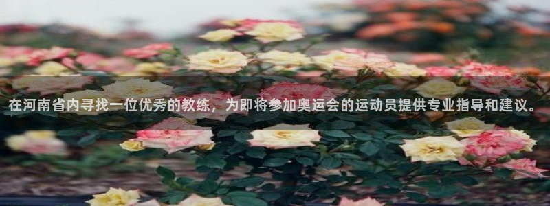 3377体育中国官方网站入口：在河南省内寻找一位优秀的教练，为即将参加奥运会的运动员提供专业指导和建议。