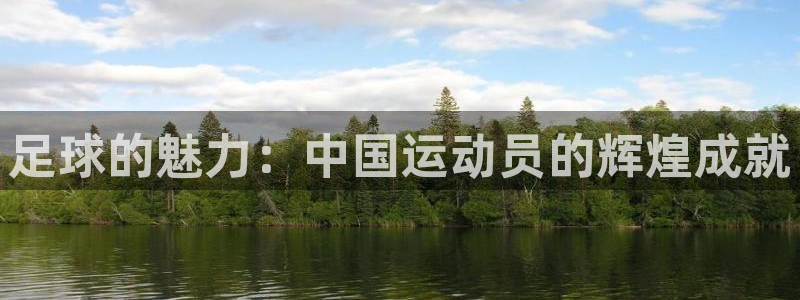 3377体育：足球的魅力：中国运动员的辉煌成就